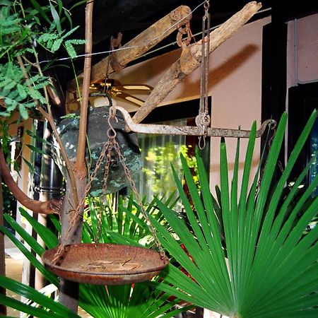Hotel Makin Novigrad  Bagian luar foto